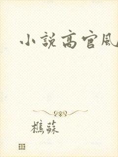 小说高官风流
