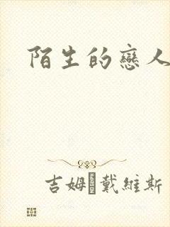 陌生的恋人小说