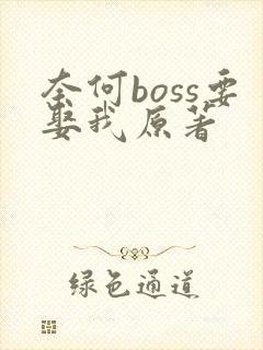 奈何boss要娶我原著