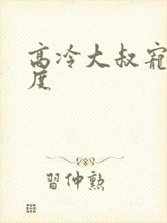 高冷大叔宠妻无度