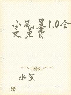 小风暴1.0全文免费