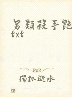 另类杀手艳福星txt