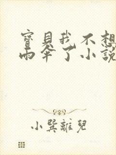 宝贝我不想带小雨伞了小说