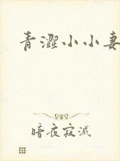 青涩小小妻