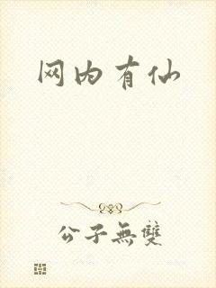 网内有仙