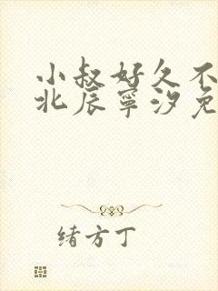 小叔好久不见顾北辰宁汐免费阅读