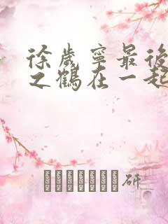 徐岁宁最后和洛之鹤在一起了吗