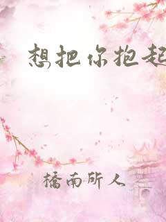 想把你抱起来撞