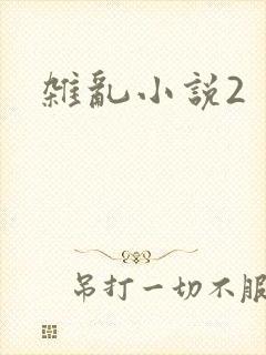 杂乱小说2