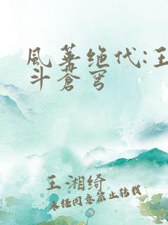 风华绝代:王妃斗苍穹