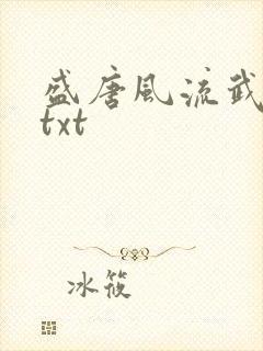 盛唐风流武状元txt