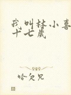 我叫林小喜今年十七岁