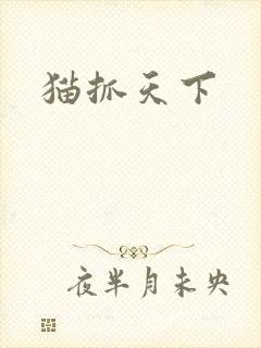 猫抓天下