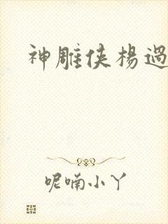 神雕侠杨过后传