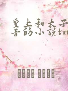 皇上和太子妃沈音的小说txt