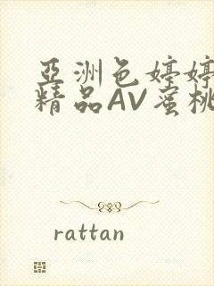 亚洲色婷婷久久精品AV蜜桃小说