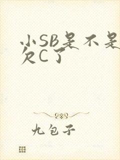 小SB是不是又欠C了