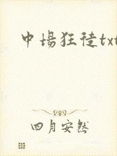 中场狂徒txt