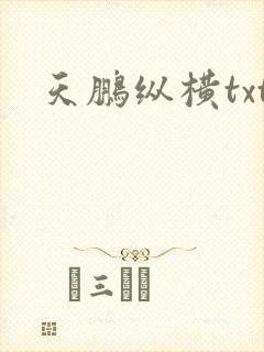 天鹏纵横txt