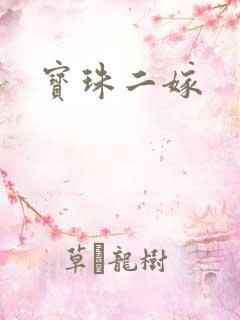宝珠二嫁