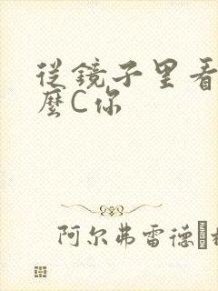 从镜子里看我怎么C你