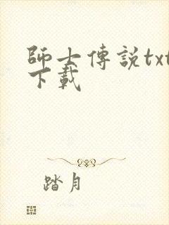 师士传说txt下载