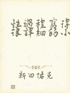 性过程写得很黄很详细的小说