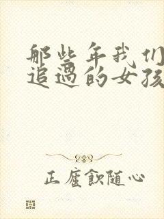 那些年我们一起追过的女孩小说