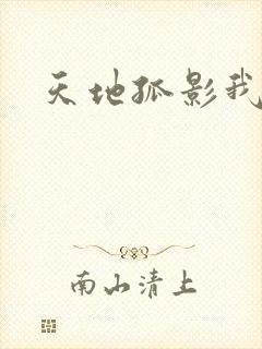 天地孤影我独行
