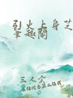 引火上身芝麻糖笔趣阁