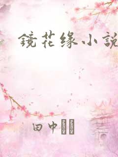 镜花缘小说