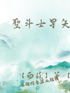 圣斗士星矢小说