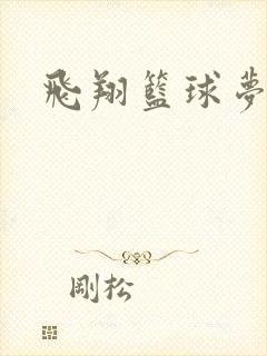 飞翔篮球梦下载