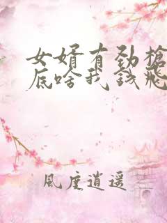 女婿有劲枪枪到底啥我钱飞了