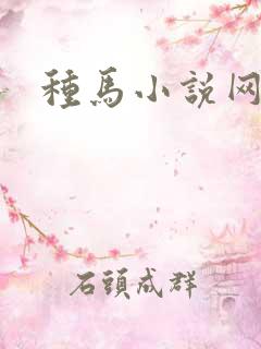 种马小说网