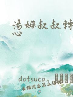 汤姆叔叔转入中心