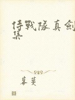 侍战队真剑者全集