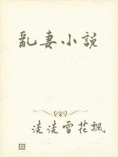 乱妻小说
