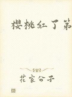 樱桃红了第二部