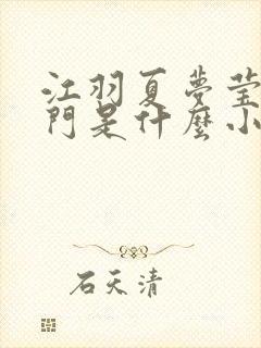 江羽夏梦莹神谕门是什么小说