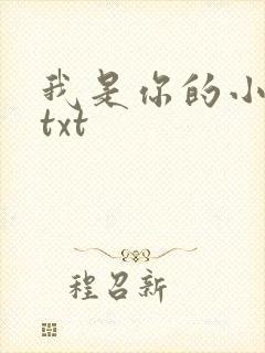 我是你的小小狗txt