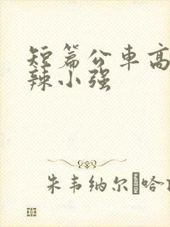 短篇公车高h肉辣小强