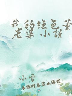 我的绝色董事长老婆 小说