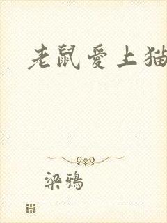 老鼠爱上猫下载