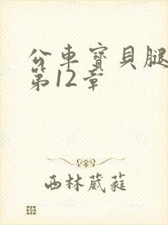 公车宝贝腿开点第12章