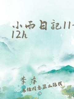 小雨日记11-12h
