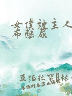 女仆被主人用胶布憋尿