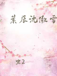 叶辰沈傲雪宁馨