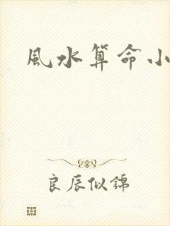 风水算命小说