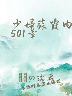 少妇苏霞肉欲第501章